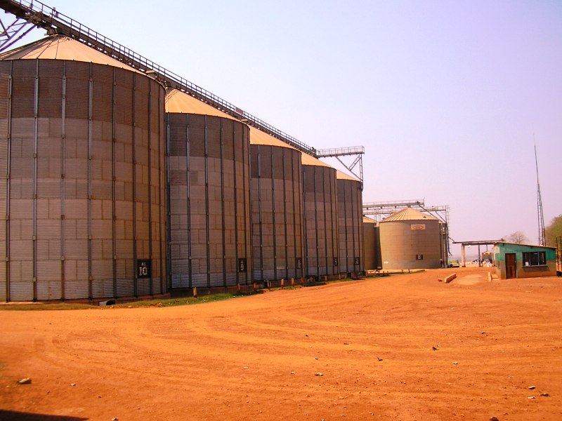 Основные условия и нормы правильного хранения зерна