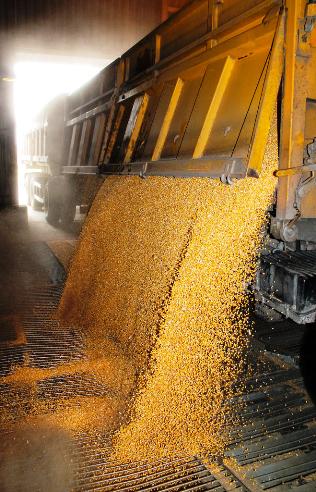 Доклад: Зернометы: типы оборудования для транспортировки, хранения и переработки зерна