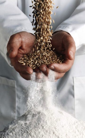 Сушка зерна – важнейший технологический процесс в сельском хозяйстве