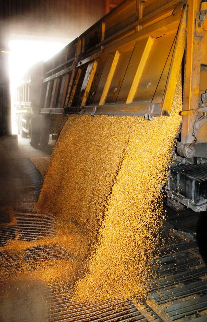 Перспективы развития глубокой переработки зерна в России